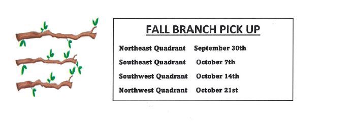 fall branch pickup